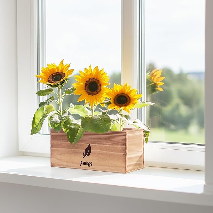 AVERGO Sunflower Seeds Growing Kit – Complete Seed and Plant Indoor & Outdoor Kit with Sunflower Seeds for Planting, Planter, Soil, Tools, Instructions – Ideal for Planting Sun Flowers at Home