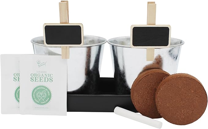 BUZZY Seeds Kitchen Herb Garden Kit with 2-Pot Metal Planters with Plant Markers, Organic Basil and Chive Seeds, Coconut Husk Growing Medium, Indoor Countertop Gardening Gift