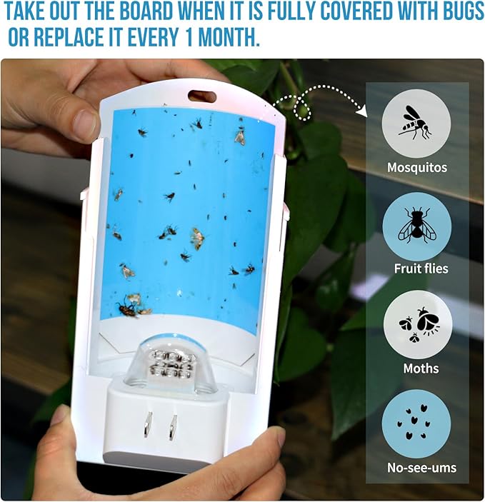 2 Pack Flying Insect Trap, Fruit Fly Trap with 8 Refills for Indoor, Bug Zapper Indoor Catching for Gnats, Fruit Flies & House Flies | Blue & UV Light Attraction | Mess-Free Disposal