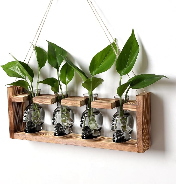 Plant Propagation Stations Halloween Skull Plant Terrarium Kit Glass Vases Gift for Father Air Planter Home Office Decor