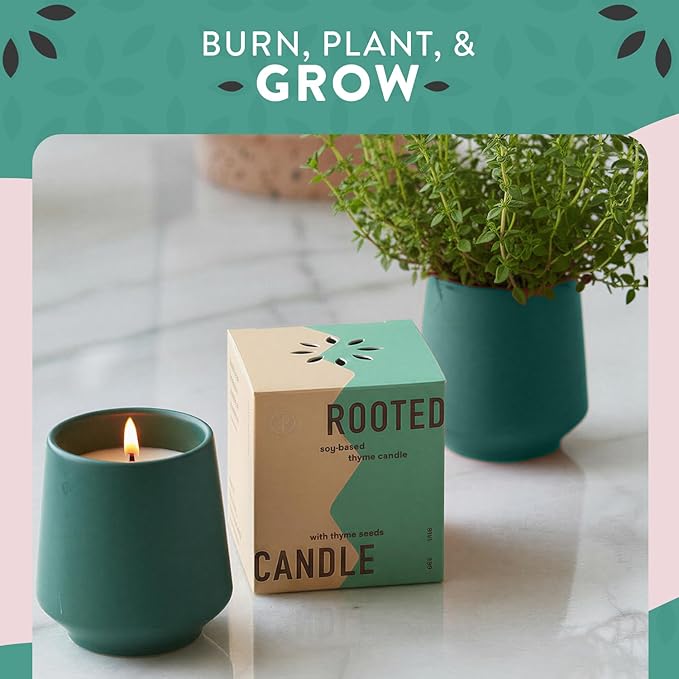 Modern Sprout Rooted Candle - 2 in 1 Tonka Bean Scented & Soy Candle with Seeds That Grows into Thyme Plant - 6 oz w/ 42 hr Burn time in Matte Glaze Ceramic Vessel Ideal for Indoor Herb Garden