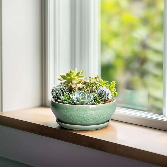 SQOWL Succulent Pots 6 Inch - Ceramic Bonsai Planter for Indoor Plants Outdoor, Shallow Planter with Drainage Hole and Tray, Round Planters for Cactus Flower, Office Decor, Gardening Gifts, Green