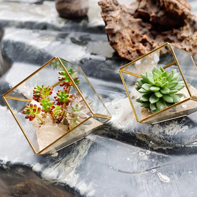 ELEGANTLIFE Glass Geometric Plant Terrarium,Succulent & Air Planter for Home Garden Office Decoration(Gold Cubic Set of 2)