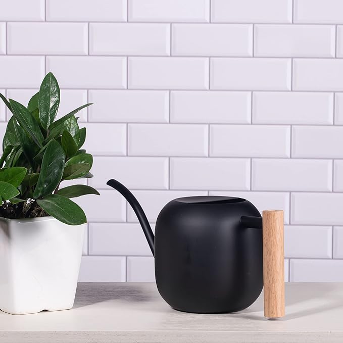IMEEA Watering Can for Indoor Plants 40oz Stainless Steel Watering Can with Long Spout and Wooden Handle (Black)