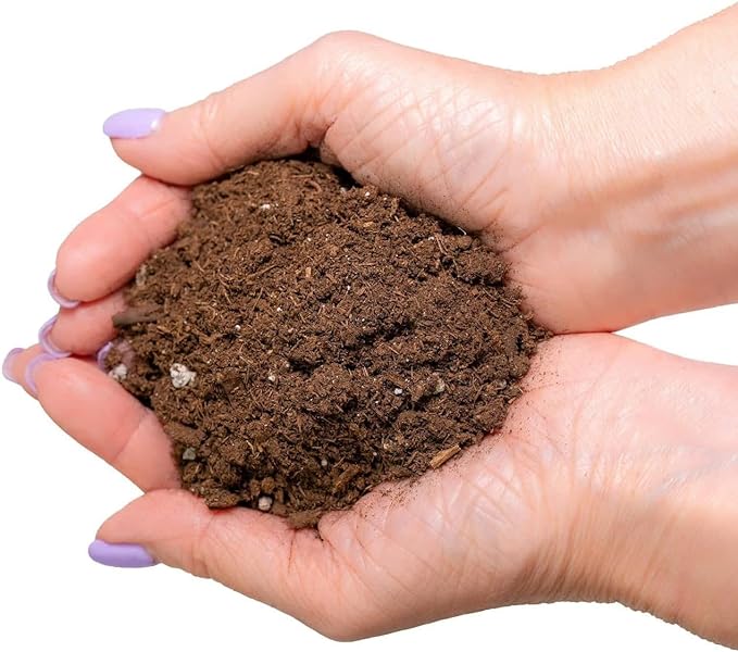 GARDENERA Premium Dracaena Potting Soil Mix - (2 Quart Bag)