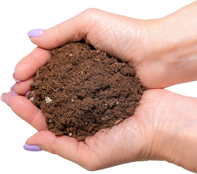 GARDENERA Citrus Tree Potting Soil Mix - 10 Quart - Special Blend for Indoor Oranges, Lemons, Limes and More - (2 Bags of 5 Quart)