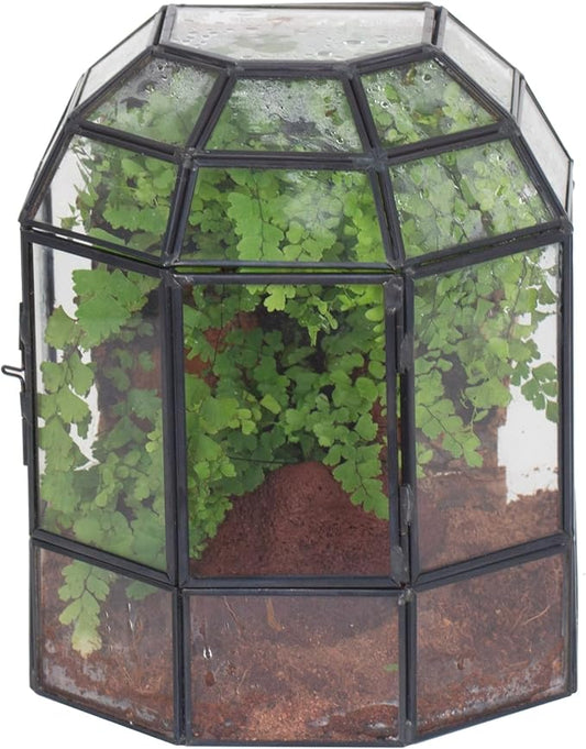 NCYP Half Dome Geometric Glass Terrarium with Door, Closed Succulents Planter Pot, Miniature Landscape Container, Indoor Tabletop Decor, Black (Terrarim Only)