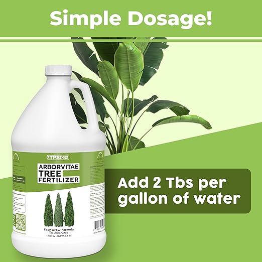 Arborvitae Tree Fertilizer for All Arborvitaes, Evergreen Shrubs and Thuja Trees, Liquid Plant Food 1 Gallon (128oz)