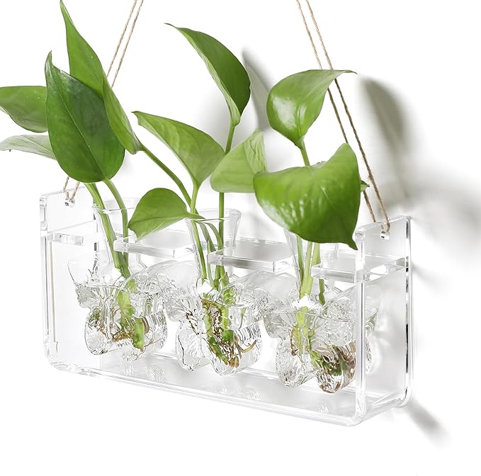 Clear Plant Propagation Station Plants Terrarium Planter Vase Birthday Gifts for Women in Acrylic Stand Home Office Garden Decor