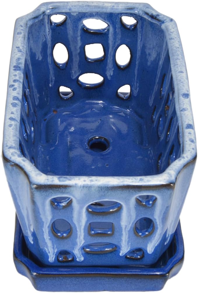 W&W Orchid Pot with Holes, Garden Pot for Orchid, Plant and Flower Pots Indoor Outdoor,White and Blue,9 Inches