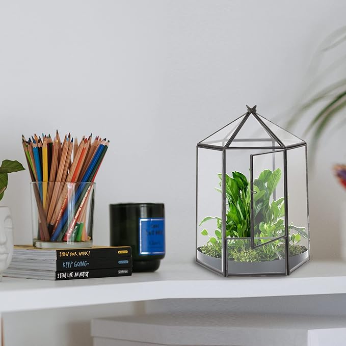 ELEGANTLIFE Glass Geometric Plant Terrarium,Succulent & Air Planter for Home Garden Office Decoration,No Plants(Black Hexagonal)