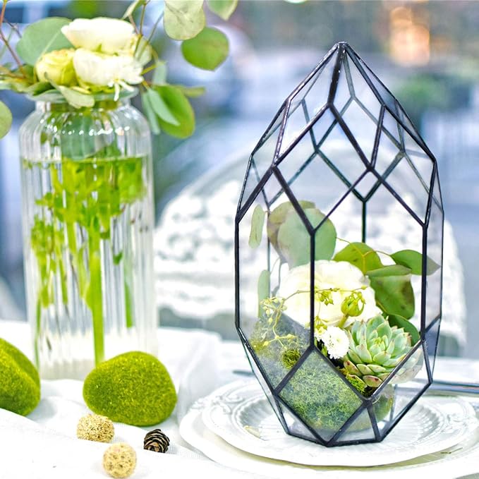 NCYP 6.5 x 5.9 x 11 Inches Geometric Glass Terrarium for Succulent, Air Plants - Large Irregular Clear Planter Pot, Indoor Tabletop Centerpiece, Wedding Garden Decor, Black (No Plants)