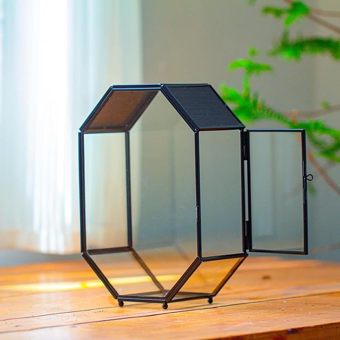 NCYP Glass Enclosure Terrarium with Mesh and Door for Jumping Spiders, Insects - Octagon Shape Small Succulents Terrarium 6.2 x 3.1 x 8.7 inches, Black Tabletop Decor (Plants Not Include)
