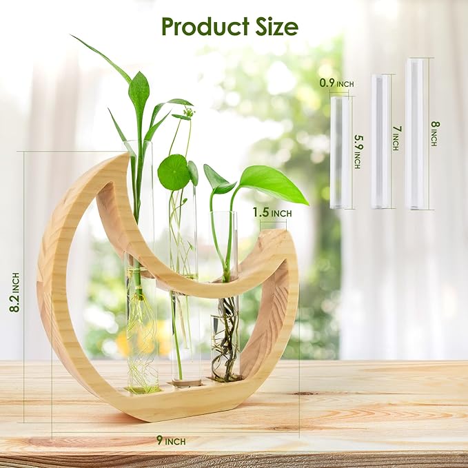 Plant Propagation stations, Crescent Moon Table Terrarium Stand for Indoor houseplants, Wooden Wall Boho Hanging Planter Vase with Glass Test Tube for Office Decor Aesthetic, Gift for Women Mom