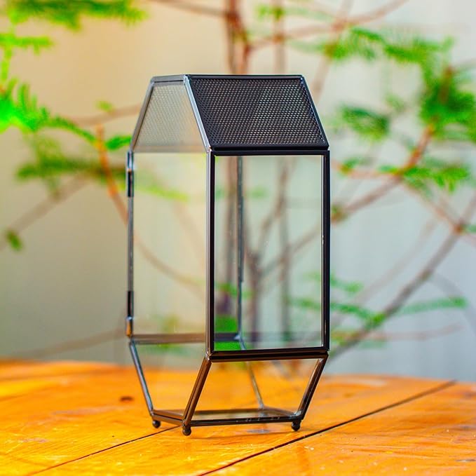 NCYP Glass Enclosure Terrarium with Mesh and Door for Jumping Spiders, Insects - Octagon Shape Small Succulents Terrarium 6.2 x 3.1 x 8.7 inches, Black Tabletop Decor (Plants Not Include)