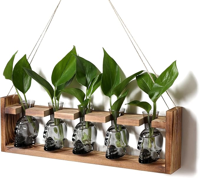Plant Terrarium Propagation Stations Halloween Skull Planter Vase Skulls Decor with Wooden Stand Gife for Father - 5 Vases