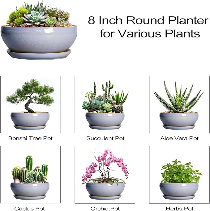 SQOWL Succulent Planters - 8 Inch Ceramic Bonsai Pots with Drainage Hole and Plant Saucer, Shallow Round Planter for Indoor Plants Flower, Bowl Planter Outdoor, Office Decor, House Warming Gift, Blue