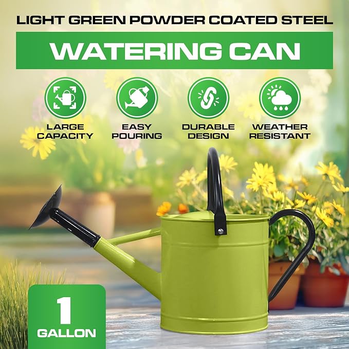 Plexon 1 Gallon Metal Watering Can Outdoor, Flower Plant Gardening Garden Large Green Watering Can Pot, Galvanized Steel Handles - Removable Spray Spout, Green