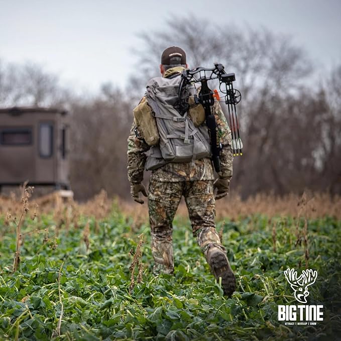 Big Tine Food Plot Mix, Deer Attractant, Main Event, Premium Brassica Mix, 4 lbs Bag, Fall/Winter Annual, Excellent Kill Plot, Drought Resistant
