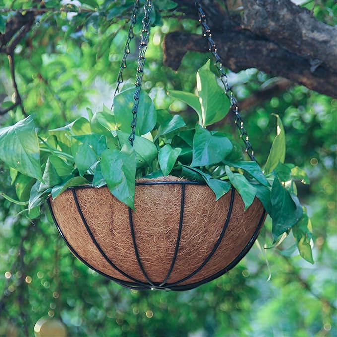 Metal Hanging Planters Basket Set of 4 Hanging Flower Pots 10 Inch Chain Round Wire Plant Holder with Coco Coir Liner Garden Watering Hanging Baskets for Patio Garden Outdoor1