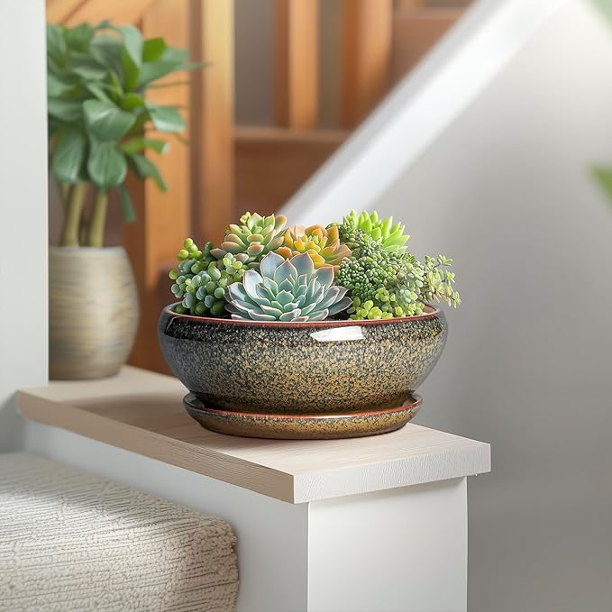SQOWL Succulent Pots - 8 Inch Ceramic Bonsai Pots, Round Shallow Planter with Drainage Hole and Saucer, Succulent Indoor Planter, Bowl Planters Outdoor, Apartment Decor, Gifts for Women, Brown
