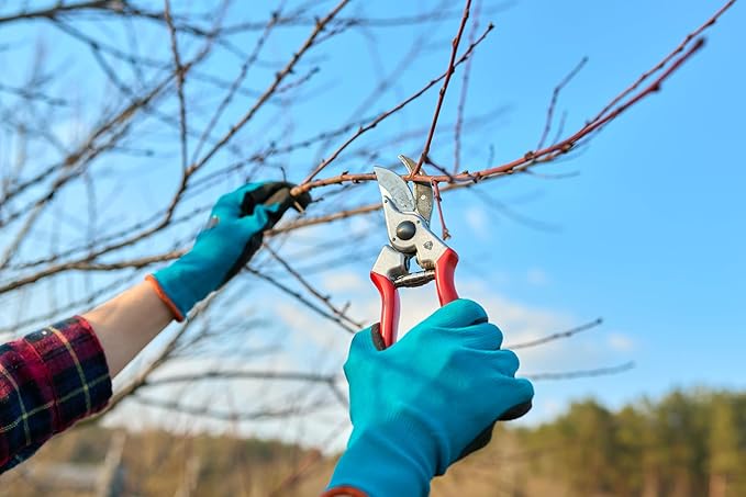 – Professional Bypass Hand Pruning Shears – Durable, Heavy Duty, Landscaping Secateurs/Scissors/Clippers-Trim your Garden, Rose Bushes, Gardenias and Outdoor Hedges