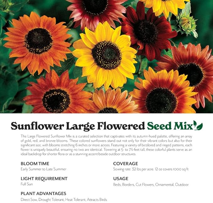 Grow Your Own Vibrant Annual and Perennial Wildflower Garden Seeds Mixture, Varieties for Pollinators and Spring Gardens - Large Colored Sunflower Mix, 5 lbs