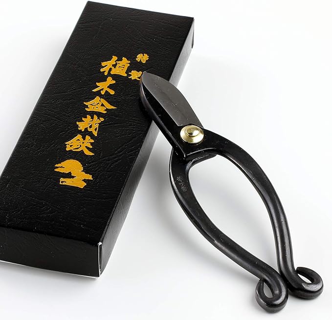 Hanafubuki Wazakura Ikenobo Ikebana Flower Scissors MADE IN JAPAN 6.5inch(165mm), Japanese Floral Arranging Tools, Kado Hasami Shears - Ikenobo Black