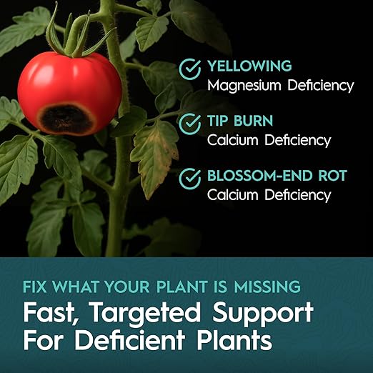 CaMg 5 Gallon | High-Concentration Calcium and Magnesium Supplement with Nitrogen and Iron | Essential Micronutrient Blend for Vigorous Plant Growth