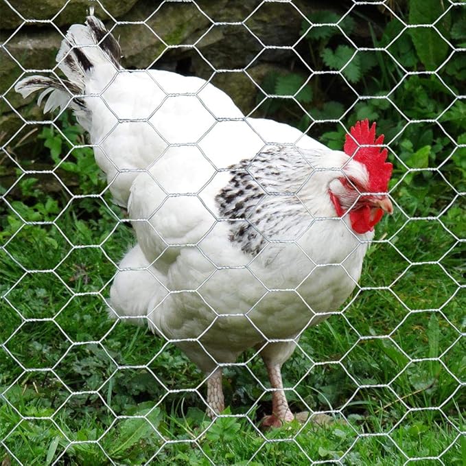 20GA Galvanized Hexagonal Poultry Netting Chicken Wire 24 inches x 150 feet x 1 inch Mesh