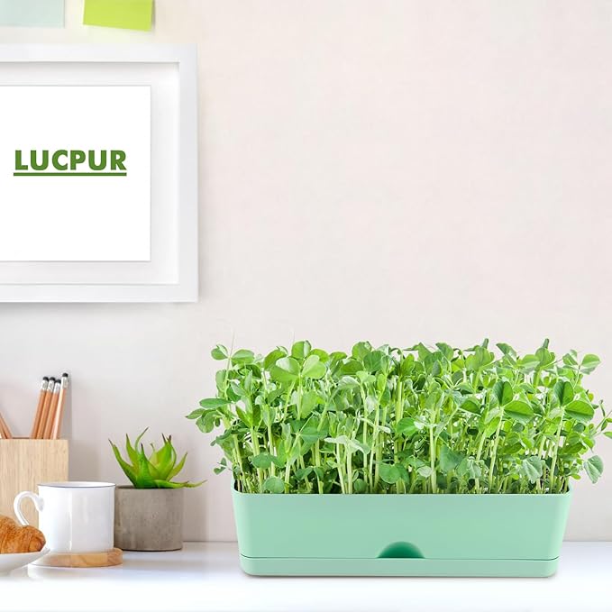 2-Pack Large Window Boxes Planters 16 Inch Rectangle Plant Box Rectangular Planter for Outdoor and Indoor Plants Plastic Windowsill Planter for Herbs Vegetable Flowers Long Window Sill Planters