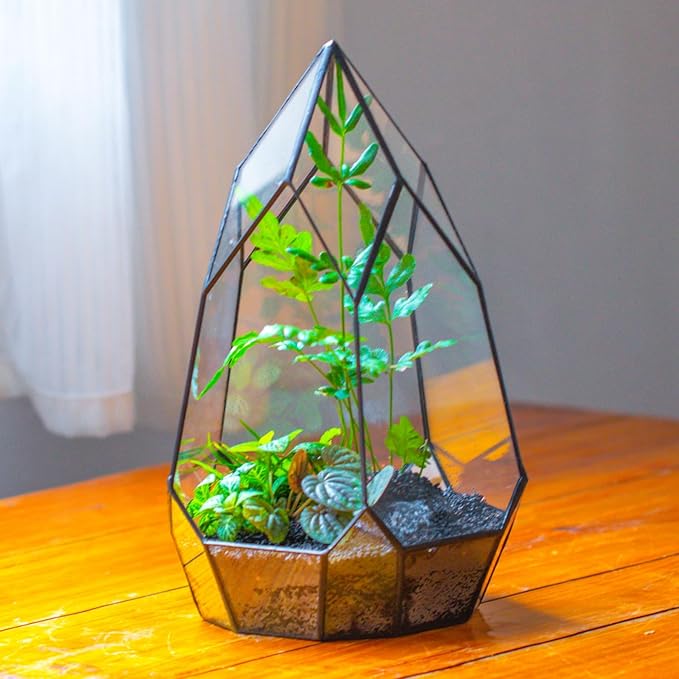 NCYP Modern Tabletop Black Glass Geometric Terrarium Container - Balcony Planter DIY Display Flower Pot for Succulent Fern - Miniature Botanical Fairy Garden, Large (No Plants, No Door)