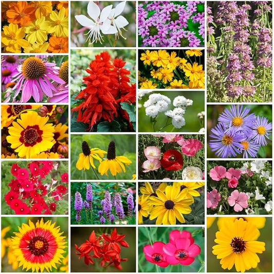 Grow Your Own Vibrant Annual and Perennial Wildflower Garden Seeds Mixture, Varieties for Pollinators and Spring Gardens - Southeast Regional Mix, 50 lbs
