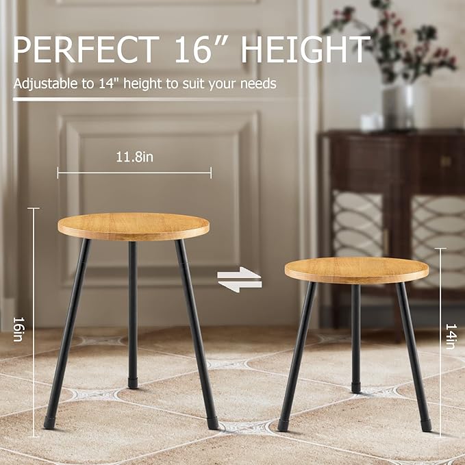 Indoor Plant Stand, Mid Century Wood Plant Stand Plant Table for Flower Pots, Tall Metal Plant Holder, Modern Home Decor Small Round Side End Table (11.8"x16")