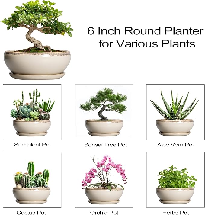 SQOWL Small Bonsai Pots - 6 Inch Ceramic Plant Pots for Succulents, Shallow Planter with Drainage Hole and Saucer, Round Planters for Indoor Outdoor Cactus Plants, House Decor, Birthday Gifts, Beige