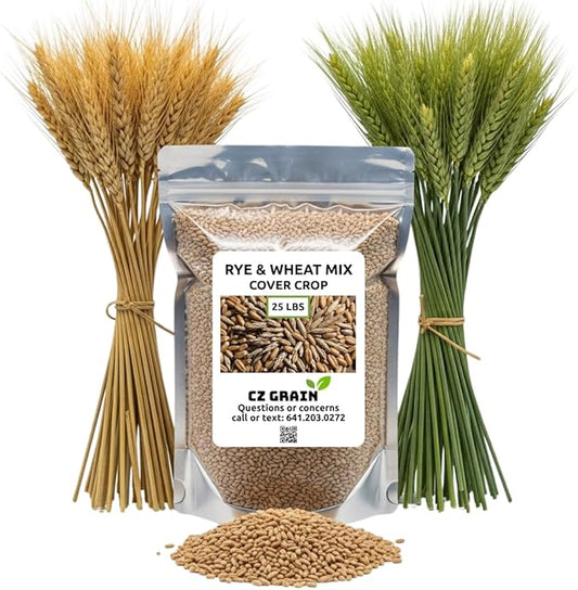 Over Winter Cover Crop Blend - Rye and Wheat Blend - Great for Adding Nutrients, Weed Supression and Building Soil (25 Pounds)