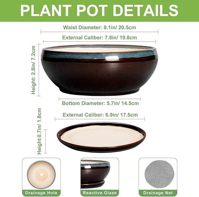 SQOWL Succulent Planters 8 Inch - Ceramic Bonsai Pots with Drainage Hole and Ceramic Saucer, Round Shallow Planter for Indoor Plant, Bowl Planter Outdoor, Desk Decor, Gift for Plant Lover, Blue-Brown