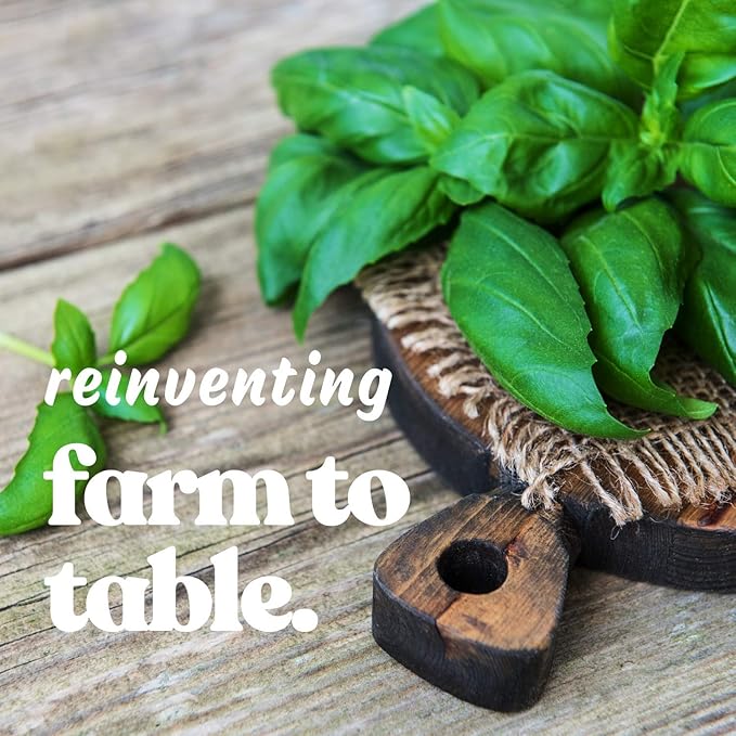 Basil Seeds - Spicy Globe - 2 g Packet ~1000 Seeds - Non-GMO, Heirloom - Bush Herb Garden Seeds: Gardening, Microgreens - Ocimum basilicum Minimum