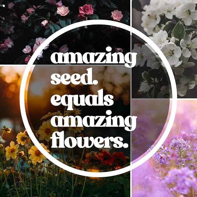 Flower Garden Seed Collection - 6 Varieties of Flower Seeds for Planting, ~2,000 Seeds - Includes Zinnia Seeds for Planting, Marigold, Poppy, Cosmos, Sunflower, & Painted Daisy - Non-GMO Flower Seeds