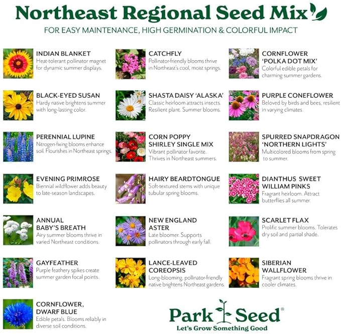 Park Seed Grow Your Own Vibrant Annual and Perennial Wildflower Garden Seeds Mixture, Easy to Grow Varieties for Pollinators and Spring Gardens - Northeast Regional Mix, 1 lb