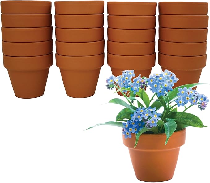 BUZZY Seeds Forget Me Not Flower Grow Kit Bulk 20pk Mini Terracotta Pots Gardening Starter Set, Wedding Favors, Shower Prizes, Garden Parties