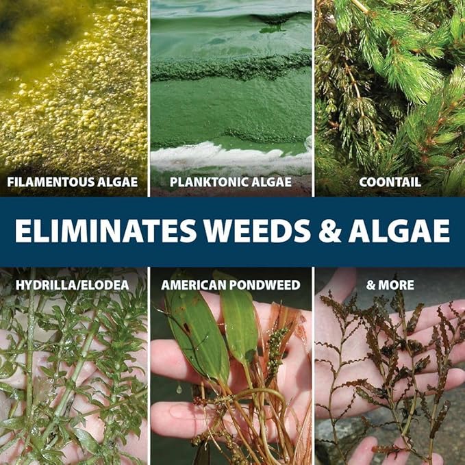 Airmax EasyKlear Pond & Lake Algae & Weed Vegetation Control, 2-in-1 Broad Spectrum Aquatic Herbicide & Algaecide Granular Water Treatment, 15 Pounds