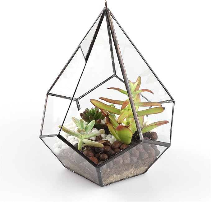 NCYP Hanging Glass Geometric Terrarium for Succulent - 6.8" x 6.8" x 8.6" Indoor Teardrop Shape Plants Planter, Tabletop Decorative Centerpiece, Black Container, Opening, Handmade (No Plants)