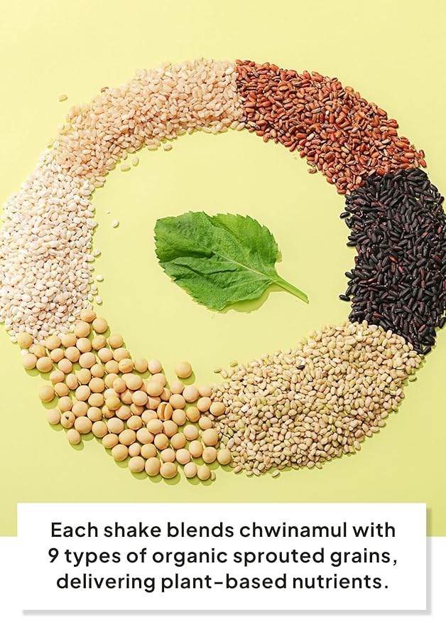 Korean Food Greenrules Korean Grain Shake with Chwinamul – Plant-Based Meal Mix Powder, 10 Single-Serve Stick Packs, 취나물 미숫가루