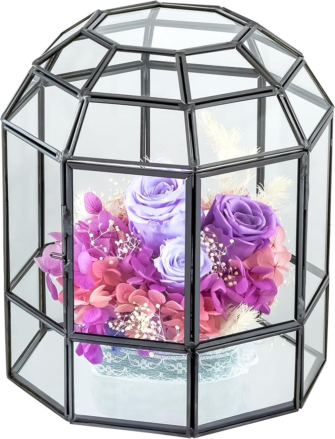 NCYP Geometric Glass Terrarium Dome for Succulent Cacti Air Plants, 6.6x6.6x8 Inches Closed Birdcage Planter Pot, Indoor Miniature Fairy Garden Display Container, Black, Handmade (Only Terrarium)