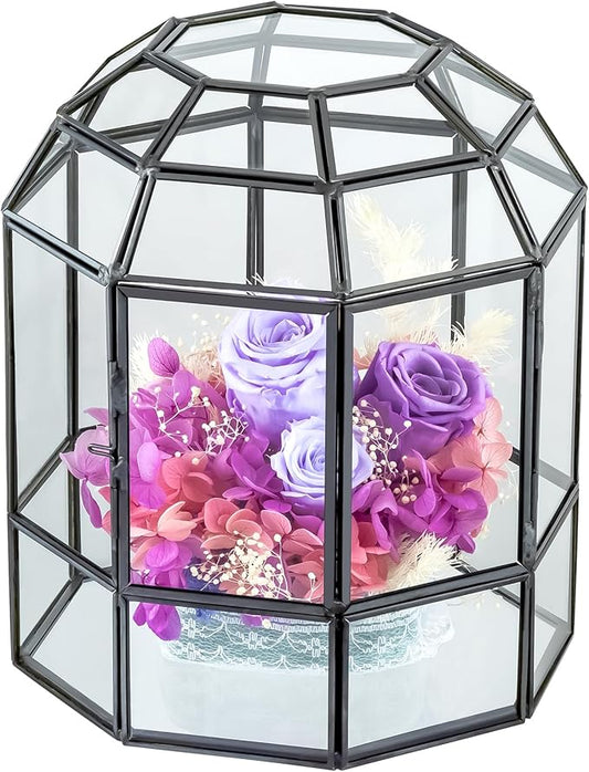 NCYP Geometric Glass Terrarium Dome for Succulent Cacti Air Plants, 6.6x6.6x8 Inches Closed Birdcage Planter Pot, Indoor Miniature Fairy Garden Display Container, Black, Handmade (Only Terrarium)