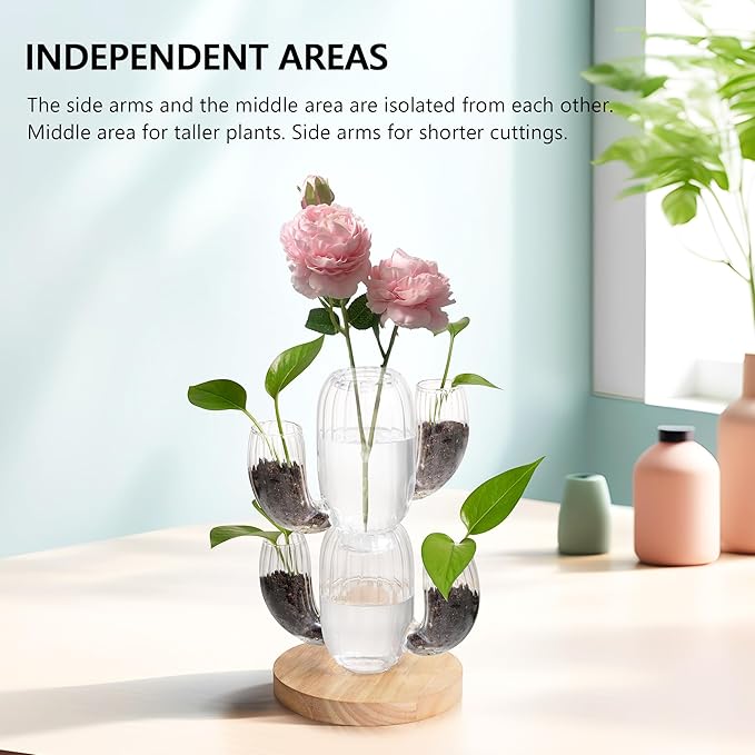 Lighted Plant Propagation Station with LED RGB Lights, 2 Glass Cactus Vases, Oak Wooden Base, Physical Push Button Control with USB Cables, Unique Gift for Plant Lovers