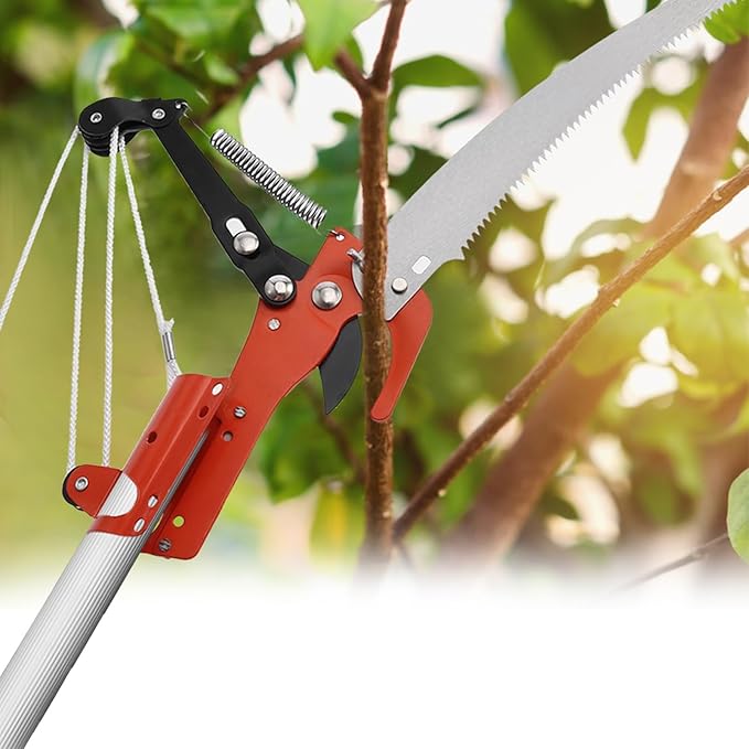 Extendable Tree Pole Pruner, 2 in 1 Outdoor High Branch Scissors Pruning Shears Garden Tools (Scissor + Saw, No Rod) Tree Trimmer