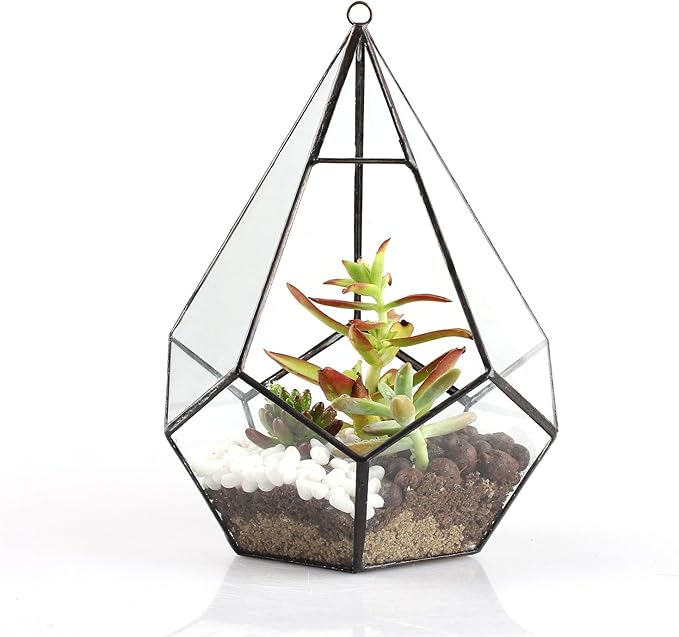 NCYP Hanging Glass Geometric Terrarium for Succulent - 6.8" x 6.8" x 8.6" Indoor Teardrop Shape Plants Planter, Tabletop Decorative Centerpiece, Black Container, Opening, Handmade (No Plants)