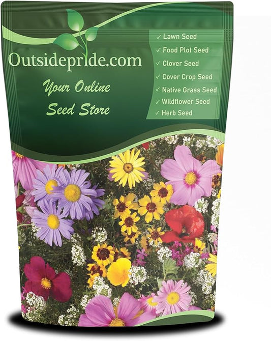 Outsidepride Birds & Butterfly Wild Flower Seed Mix - 1 Lb. Premium Blend of Annual & Perennial Wildflower Seeds for Attracting Songbirds, Hummingbirds, & Butterflies